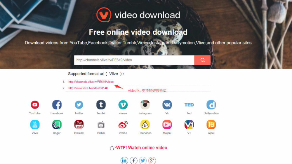 音乐视频下载，从MV到MP4的全面指南