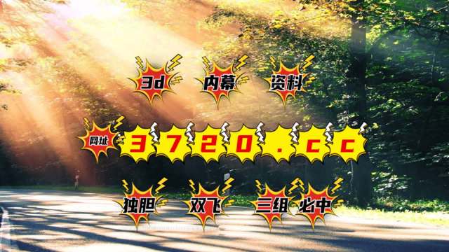 探索家彩网千喜3D试机号的奥秘与乐趣