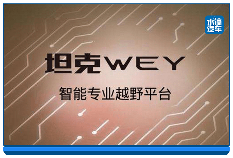 十一选五停售，理性回归与市场重塑