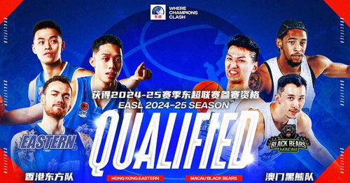 瑞典超级联赛，激情与竞技的年度盛宴——2023赛季比分排名解析