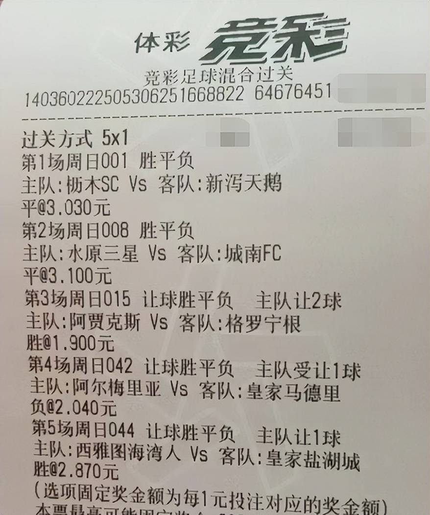 六场半全场开奖结果查询，解锁足球竞猜的乐趣与技巧