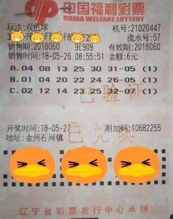 双色球随机选号，新浪网下的幸运之选