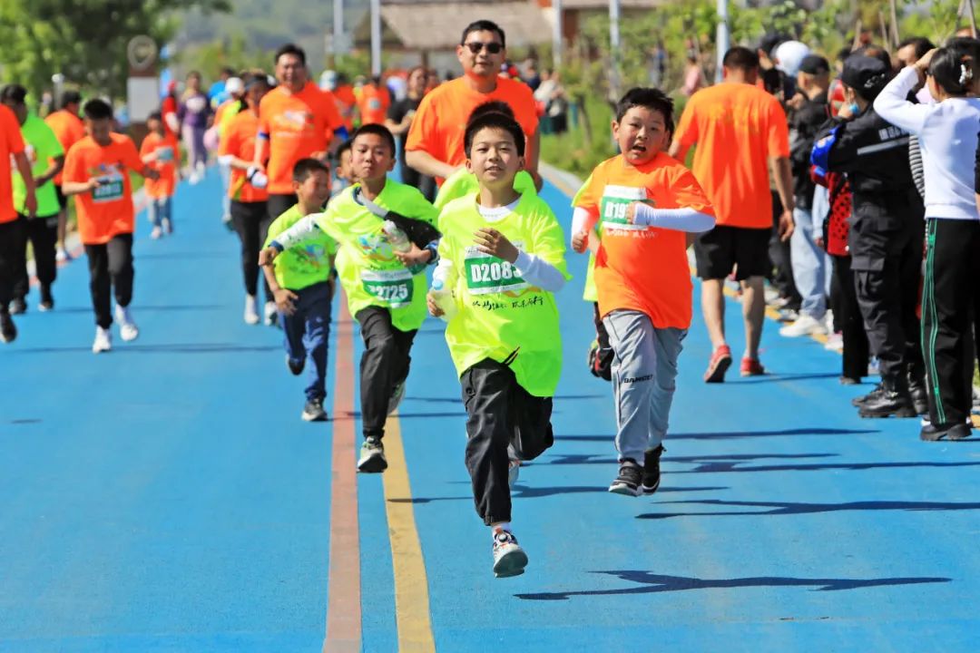 今日双色球开机号码查询，揭秘幸运之门