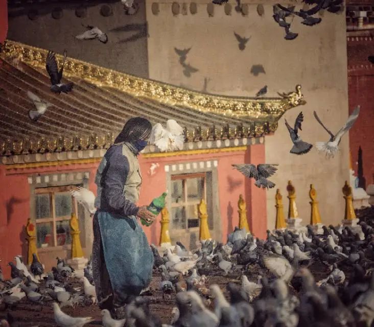 排三乐彩论坛17504cn，数字的魅力与理性投注的艺术排三乐彩论坛17500cn排三走势图