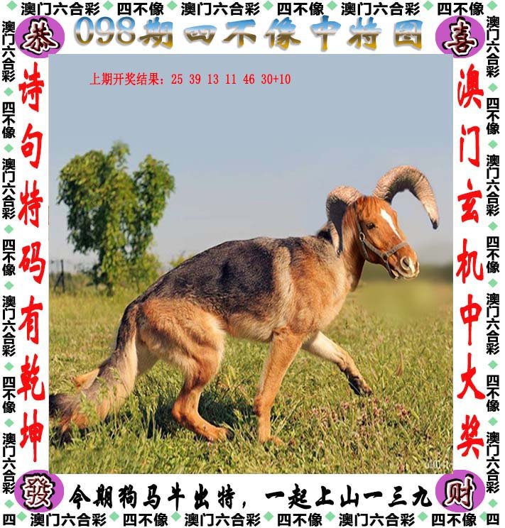 数字玄机