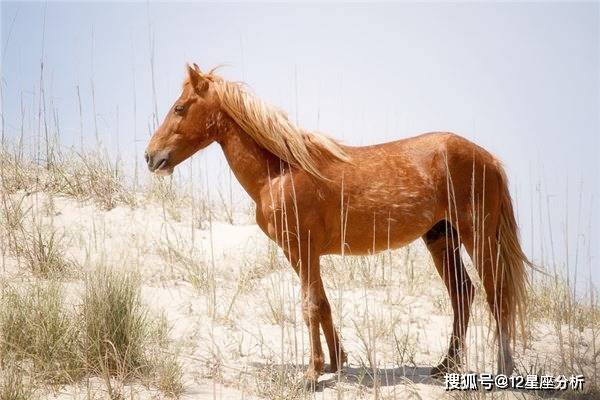 admin 第53页