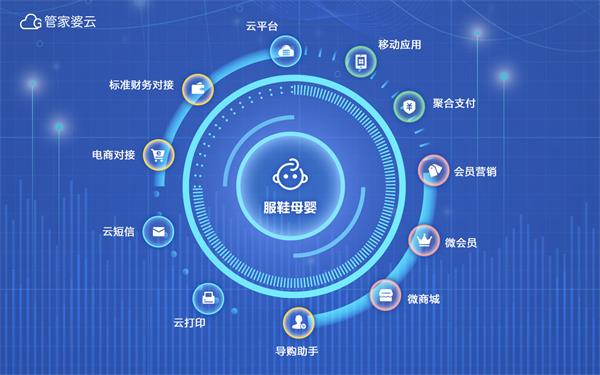 2036年，管家婆精准免费大全的未来展望2023管家婆精准免费大全绿波