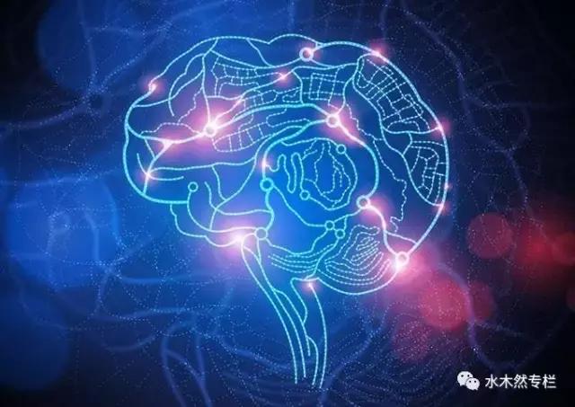 2045年，香港正版资料免费大全的未来展望2024年香港正版资料免费大全精准