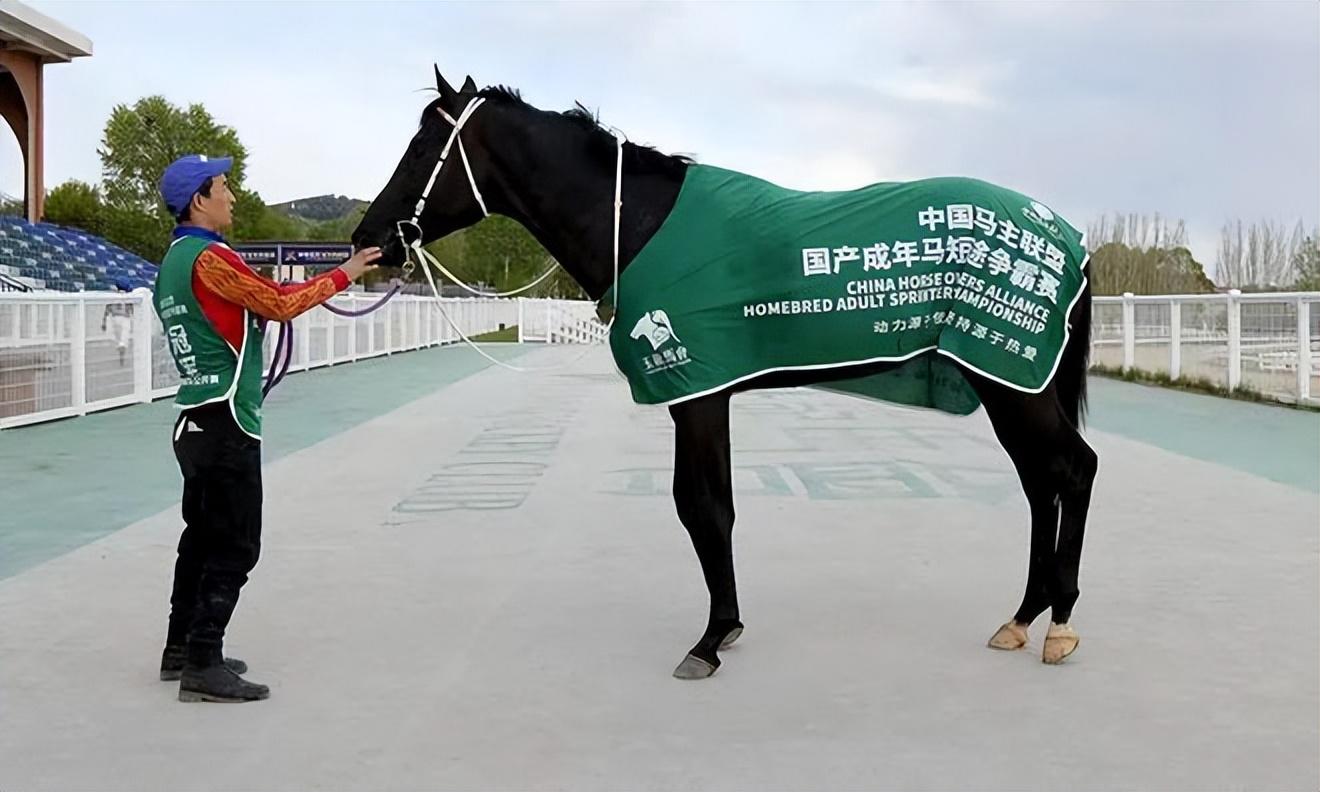 马会传真