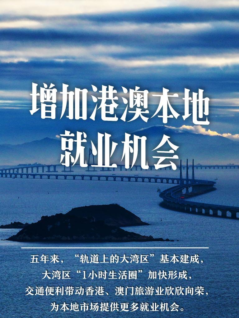 探索新澳门资料大全204年正版资讯的全面指南2005新澳正版免费大全