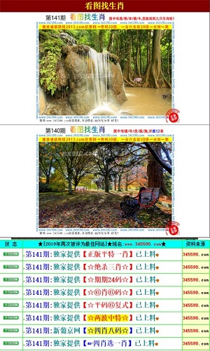 澳门王中王的六码与生肖之谜,一场文化、历史和数字的交织澳门王中王六码六肖查看