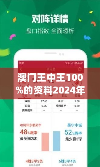 澳门王中王的魅力与风险，理性观影的探讨全四年老玩家心得澳门王中王