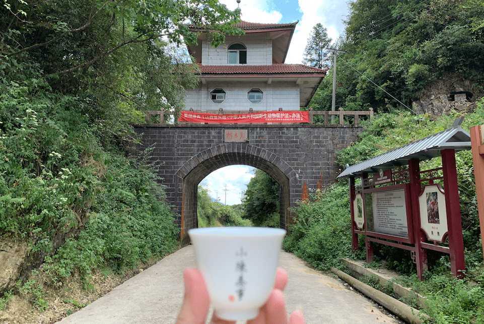 澳门六大赌场名字的寓意与文化解读澳门六大赌场名字是什么寓意呢图片