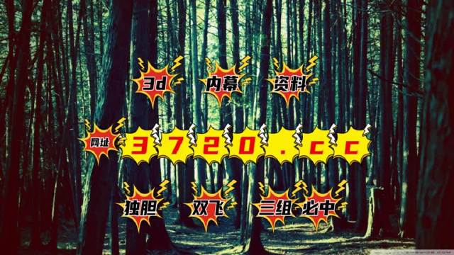 澳门六仓彩开奖结果查询，2018年回顾与解析澳门六给彩开奖结果c